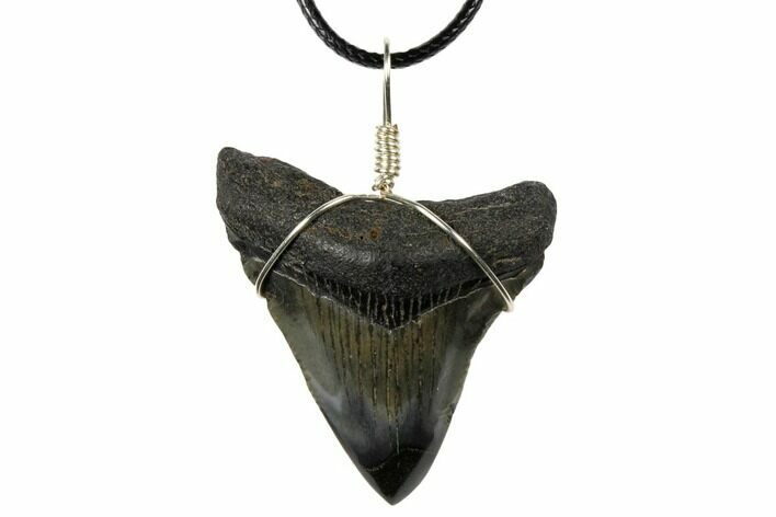 Fossil Megalodon Tooth Necklace #130969